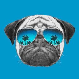 Pug remotamente