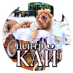 Centre "KAI" 🐾🦽