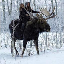 Chroniques d'un pays imaginaire (Canada et Québec)