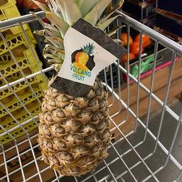 Ananas sur une réserve de palmier