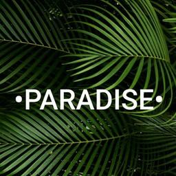 💐Paradise💐 Dropshipping. Lieferant. China. Tuch