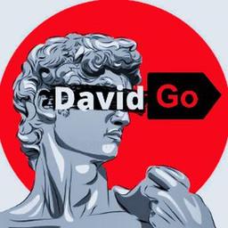 DavidGo = START NOW