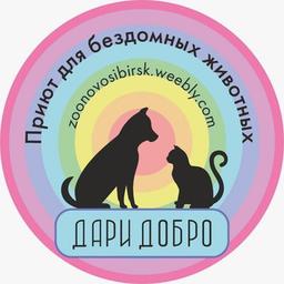 Dari Dobro animal shelter