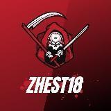 Zhest18