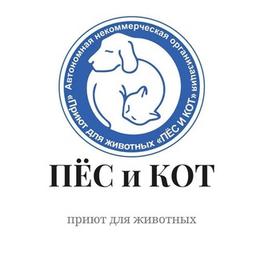 Приют "Пес и кот" Южно-Сахалинск 🐶🐱