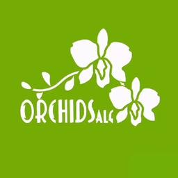 Orchidsale - orquídeas en Taskent