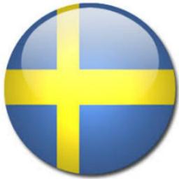 🇸🇪SwedTransUkraine – Auto aus Schweden🇸🇪