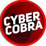 Traffic arbitrage with Cyber ​​Cobra