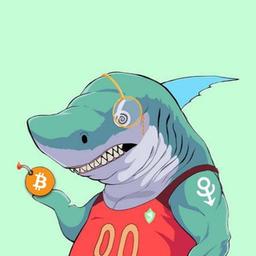 Galáxia tubarão 🦈 CRIPTO