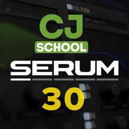 Serum. 30 steps from scratch to sound synthesis