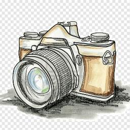 Concursos de fotografia 📷 para meninas 👧🏼