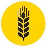 ? Grain Union | Agrojournal