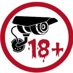 Plus de 18 vidéos de caméras de surveillance