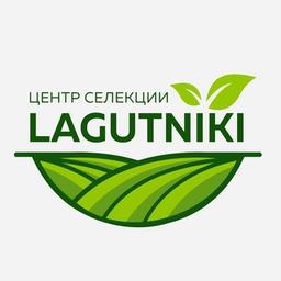 Selectcentre Lagutniki. Vegetable Seeds