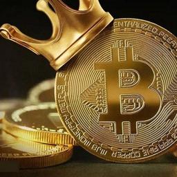 Il mondo delle criptovalute?