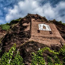 Vinos de Alemania y más allá