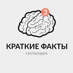 Краткие Факты | Официальный канал