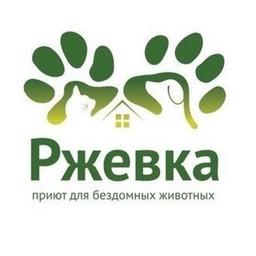 Приют «Ржевка» для бездомных животных