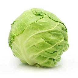 Cabbage