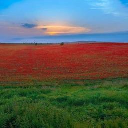 Red de información de Azerbaiyán