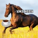 Caballo)¿Té?