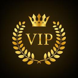 VIP-SPORTPROGNOSE