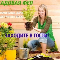 GARDEN FAIRY - Dacha. Garden and Vegetable Garden