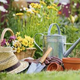 Tagebuch eines Sommerbewohners• Dacha• Garten• Gemüsegarten