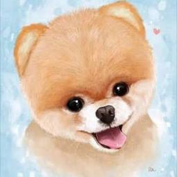 ESPECIAS •POMERANIA •POMERANIA🧸