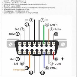 Diagnóstico automático por computadora y cursos en video.