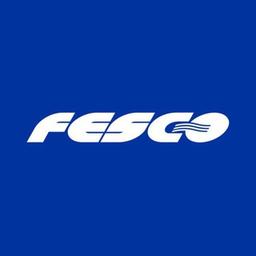 Transport group FESCO