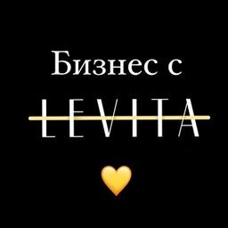 Бизнес с Levita