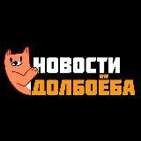 Новости Долбоёба