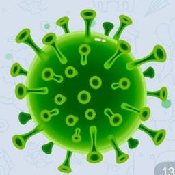 NOTICIAS / CORONAVIRUS