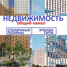 Real estate Etalon City - Capital Polyany (peak)