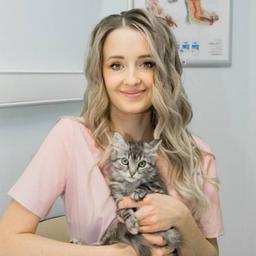 Vet_alisa veterinária