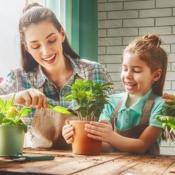 Flowers and plants