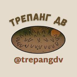 Chat Trepang DV