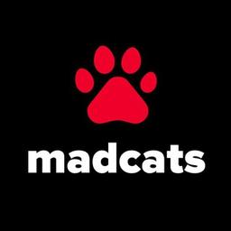 Cats – MadCats.ru