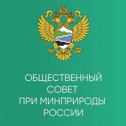 Consejo del Ministerio de Recursos Naturales de la Federación de Rusia