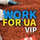 VIP WORK - CHAT???