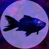 Universo de peces