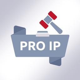 IP professionnelle